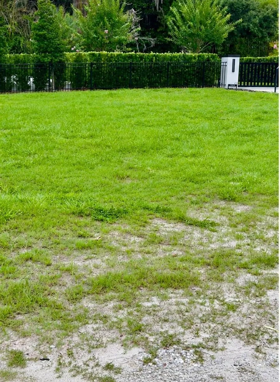 After: Lawn restored and old post-and-chain fence removed