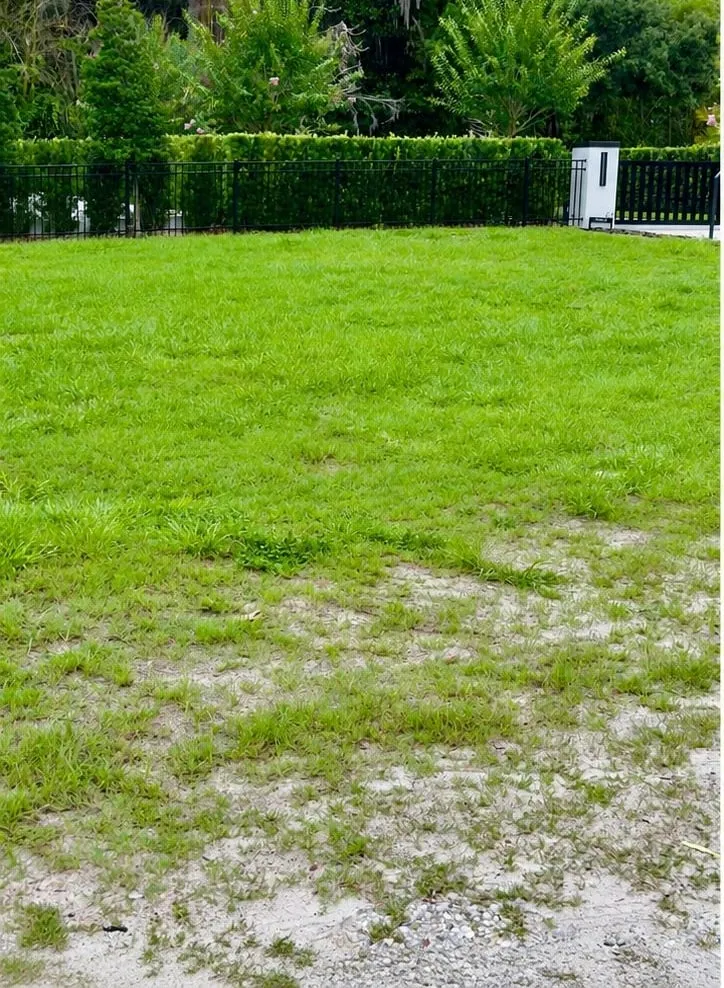 After: Lawn restored and old post-and-chain fence removed